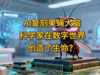 �w��ȤՄ����ʮ������AI��(f��)�̹�ω���X���ƌW(xu��)���ڔ�(sh��)�����焓(chu��ng)����������