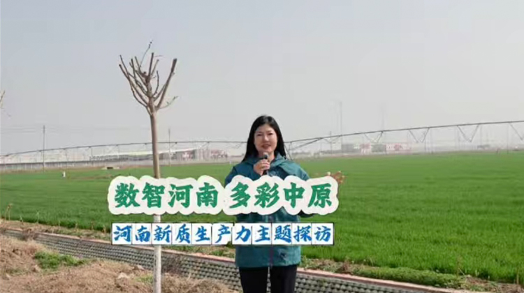 ����(sh��)�Ǻ��� �����ԭ���������|(zh��)���a(ch��n)�����}̽�L